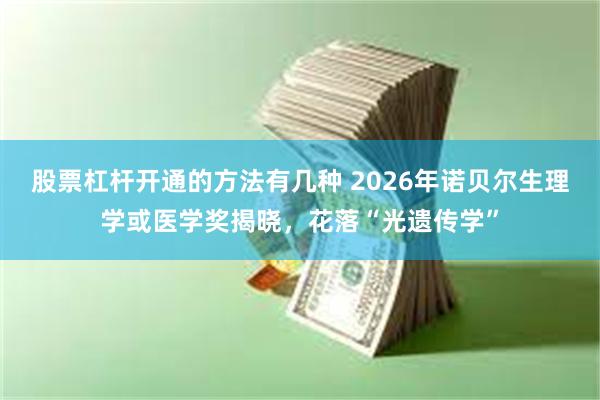 股票杠杆开通的方法有几种 2026年诺贝尔生理学或医学奖揭晓，花落“光遗传学”