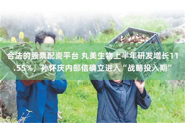 合法的股票配资平台 丸美生物上半年研发增长11.55%，孙怀庆内部信确立进入“战略投入期”